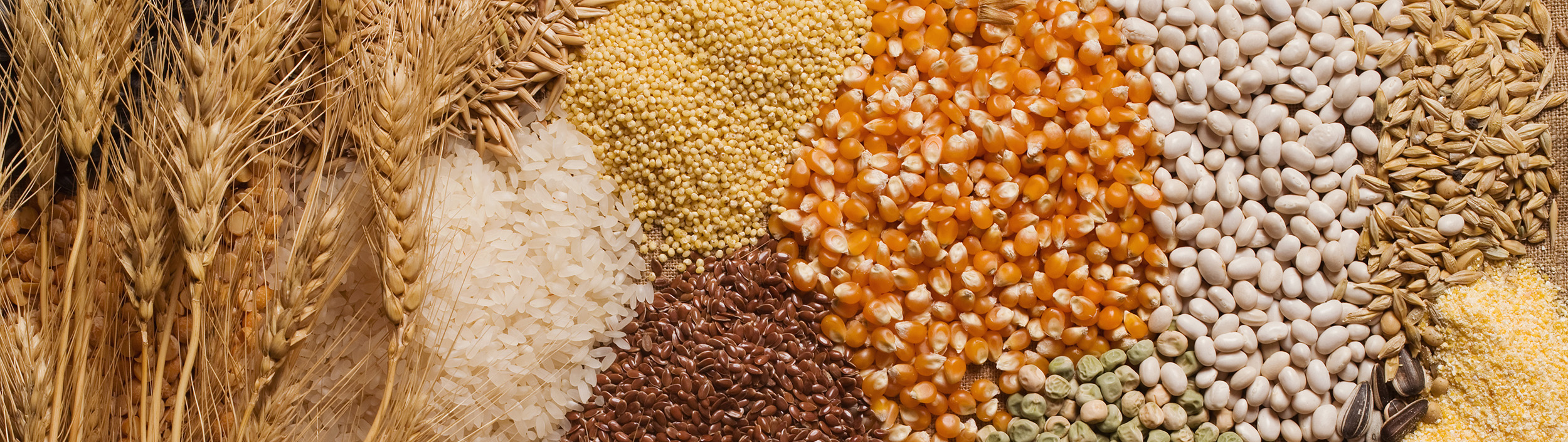 Grain Solutions